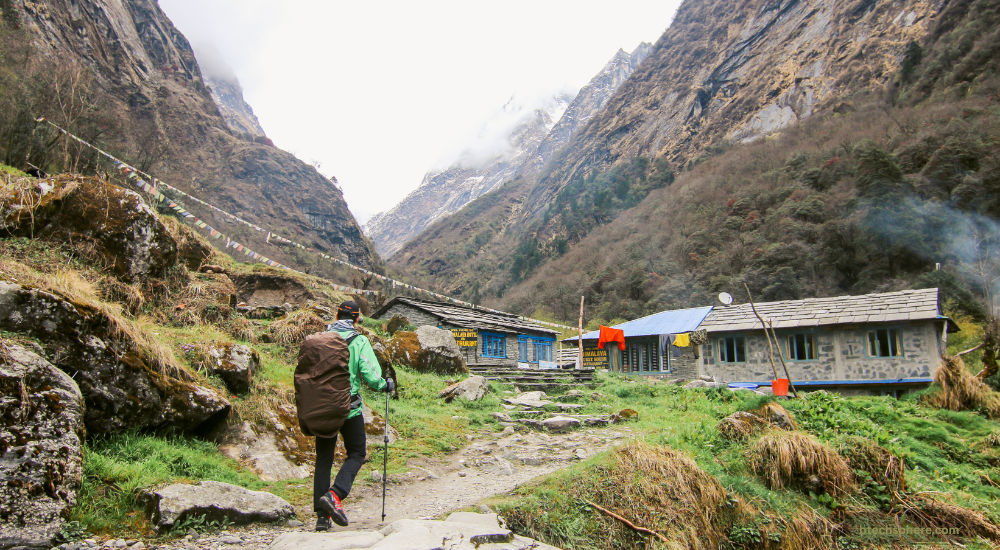 thehometrotters trisha